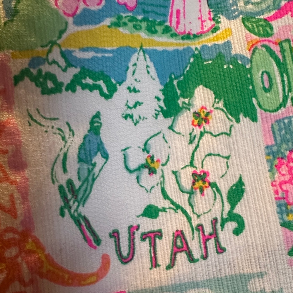 Lilly Pulitzer state of mind Skirt - Picture 7 of 12